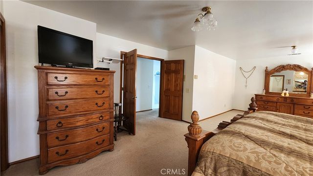 a view of a yard with a large trees