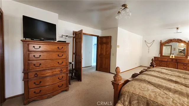 a view of a yard with a large trees