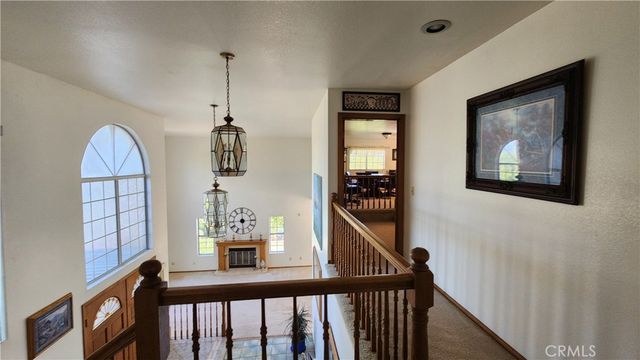 a view of path along with trees