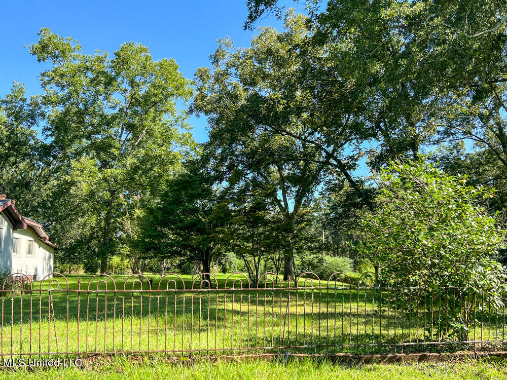 1286 Depot Road Lucedale, MS 39452 - Photo 23 of 39 IMG_5660