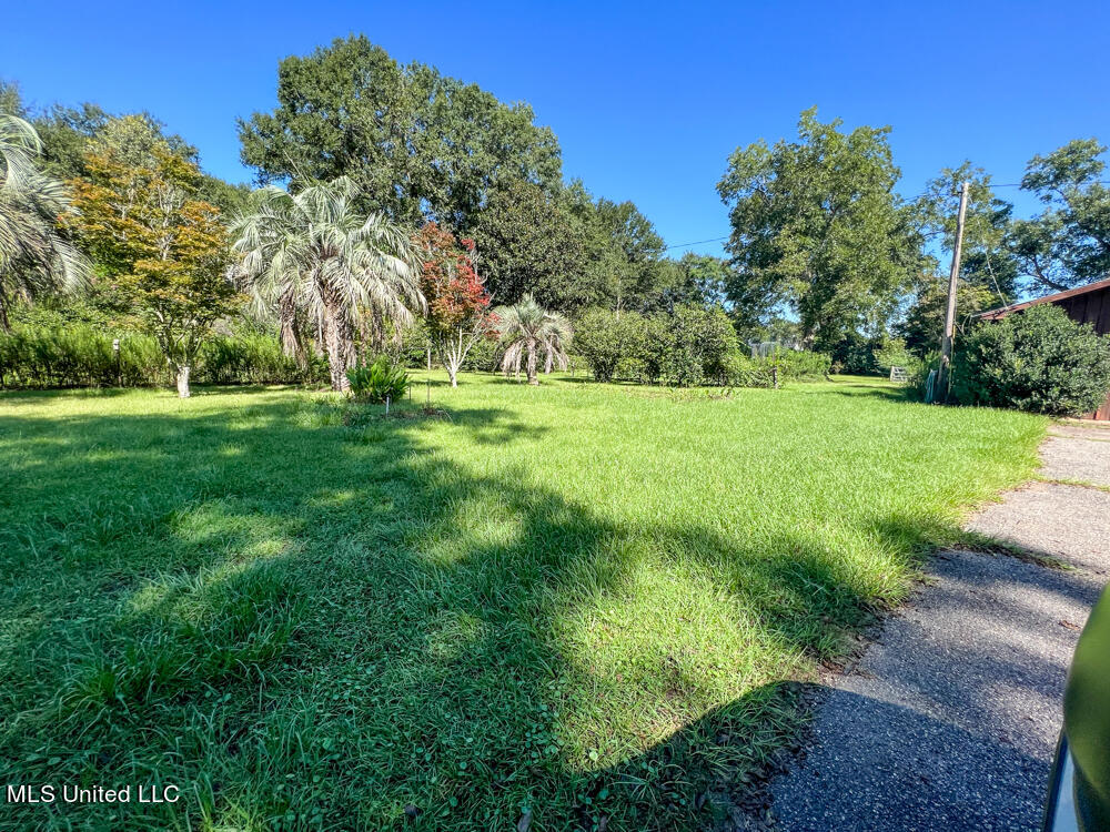 1286 Depot Road Lucedale, MS 39452 - Photo 28 of 39 IMG_5666