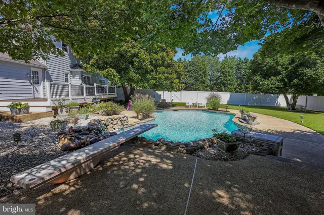 a view of a backyard with plants and large trees
