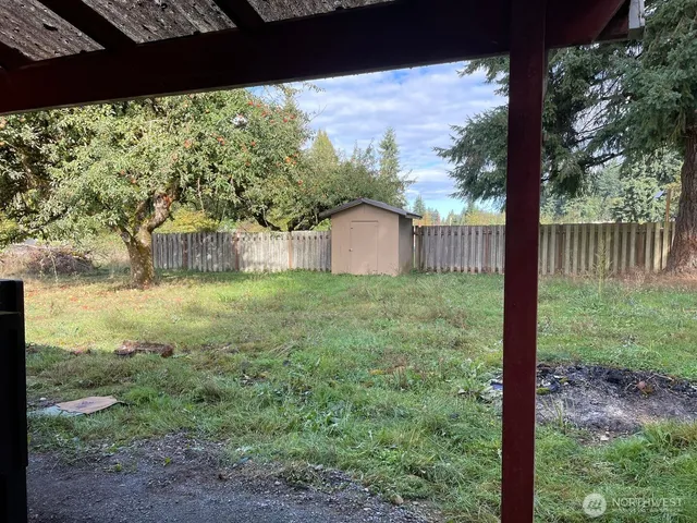 a view of a yard with a large tree