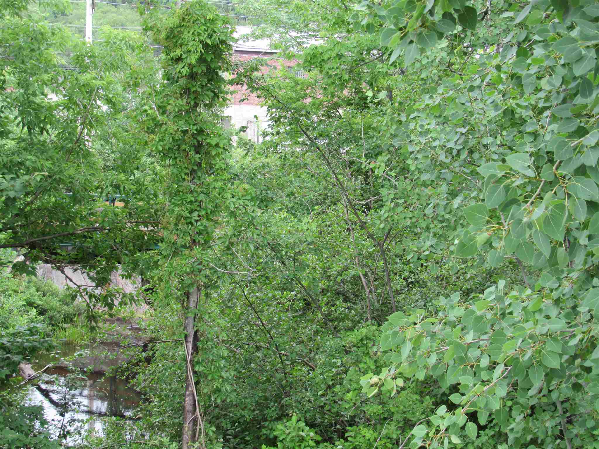 193 Willow Street Berlin, NH 03570 - Photo 14 of 15