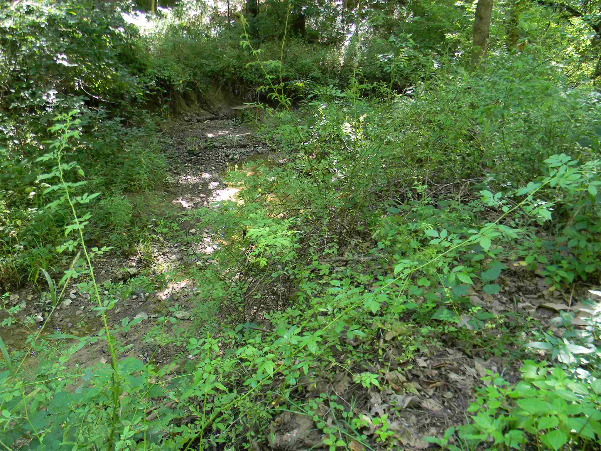 0 Co Road Center Point, IN 47840 - Photo 3 of 5 Gallery Image 3
