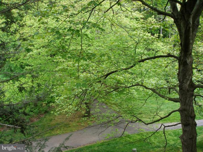 2262 Wheelwright Court Reston, VA 20191 - Photo 9 of 11 Jogging trail