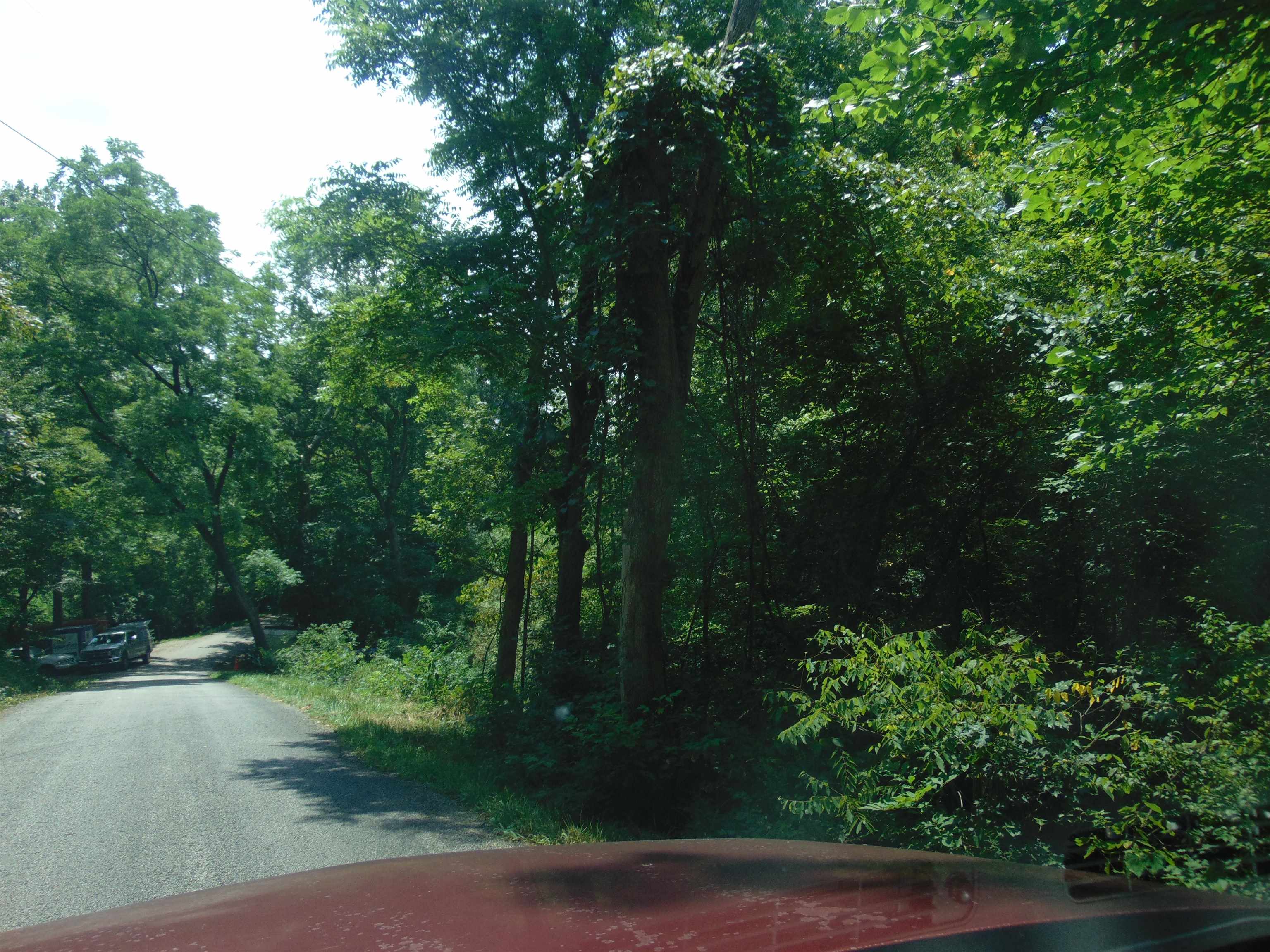 0 Tick Ridge Road Olive Hill, KY 41164 - Photo 5 of 5