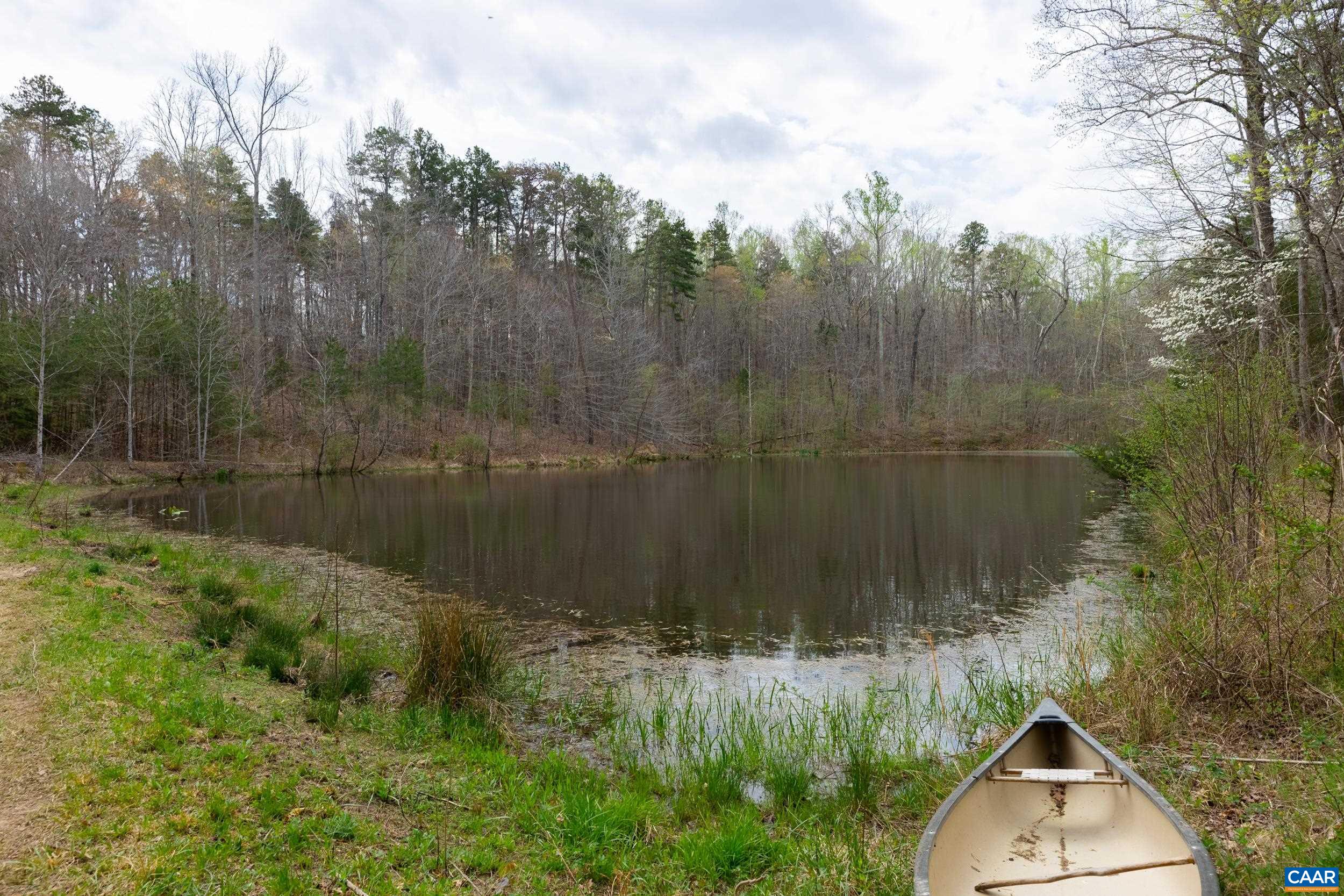 3100 Bacon School Road Saxe, VA 23967 - Photo 44 of 47 a view of a small pond of green space