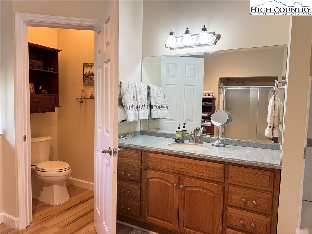 175 Olive Ridge Drive Crumpler, NC 28617 - Photo 31 of 50 a bathroom with a granite countertop sink a toilet and a mirror