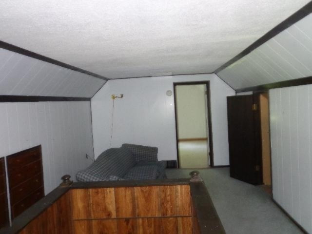 523 Main Street Saranac, MI 48881 - Photo 14 of 17 DSC03269