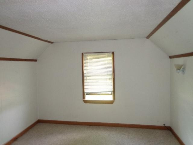 523 Main Street Saranac, MI 48881 - Photo 15 of 17 DSC03271