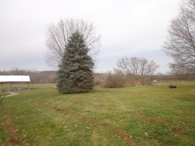 523 Main Street Saranac, MI 48881 - Photo 8 of 17 DSC00632