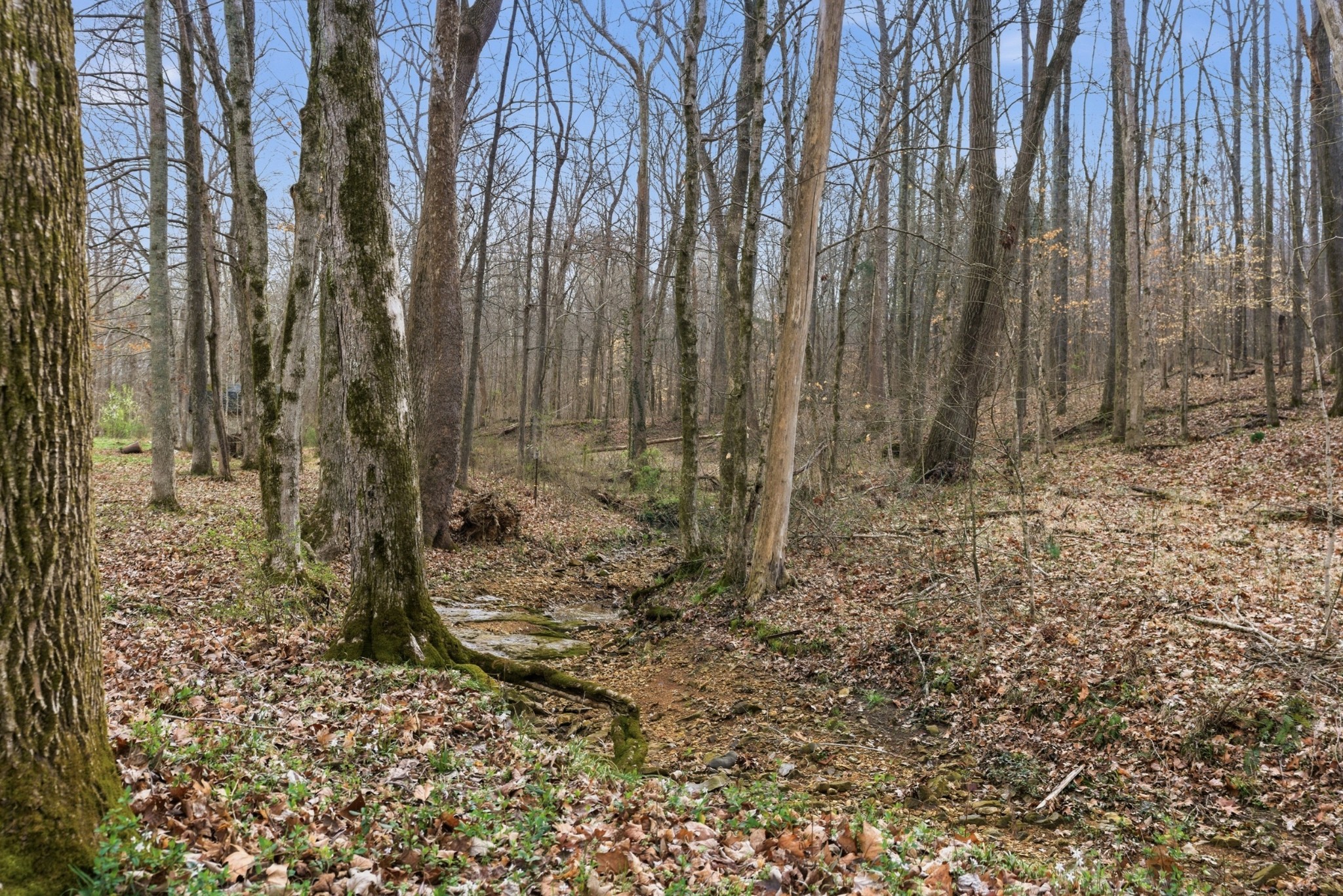 1848 Mimi Road Clarksville, TN 37040 - Photo 22 of 30 Gallery Image 22