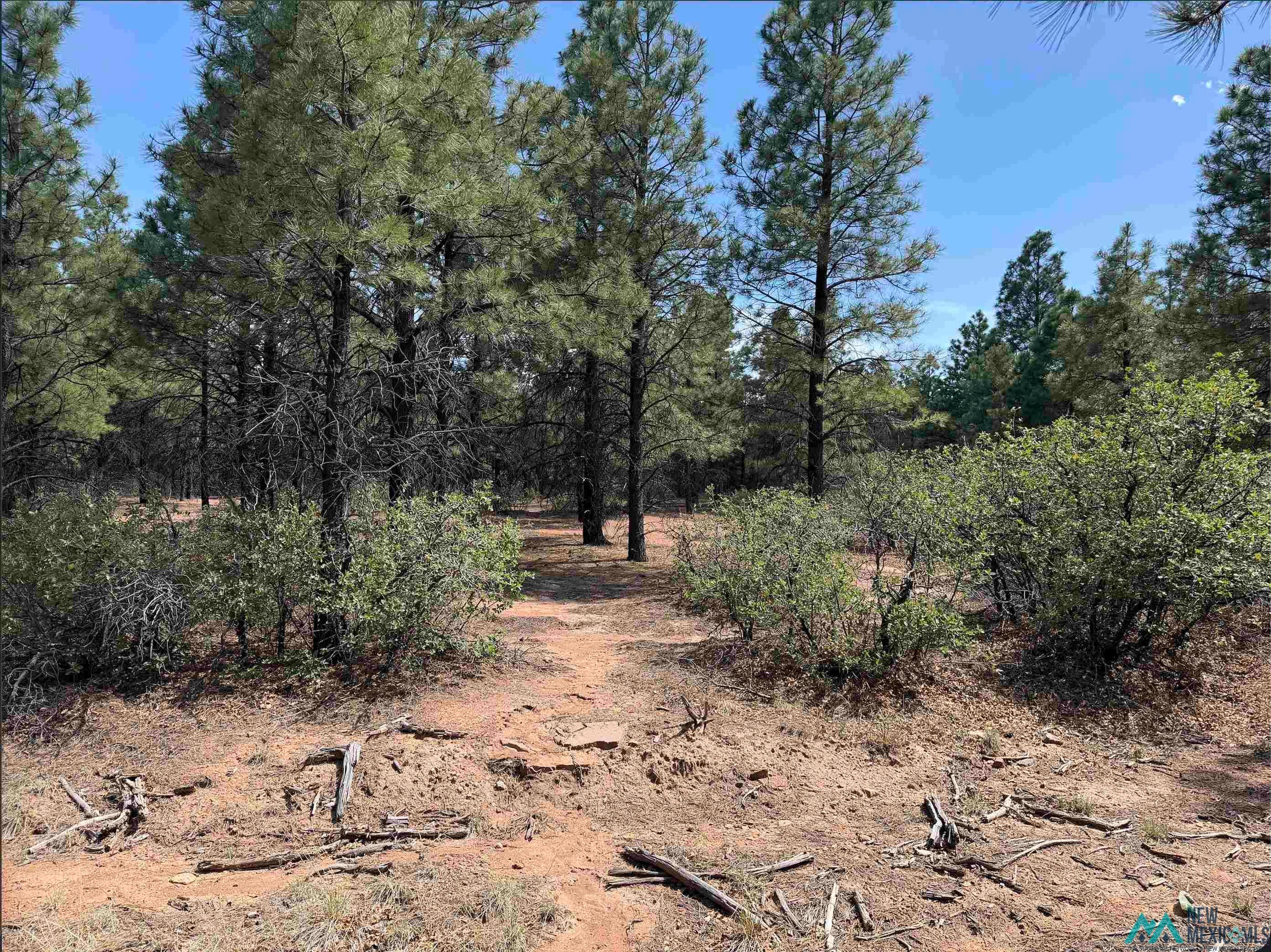 476 A18a County Road Las Vegas, NM 87701 - Photo 23 of 26 Gallery Image 23