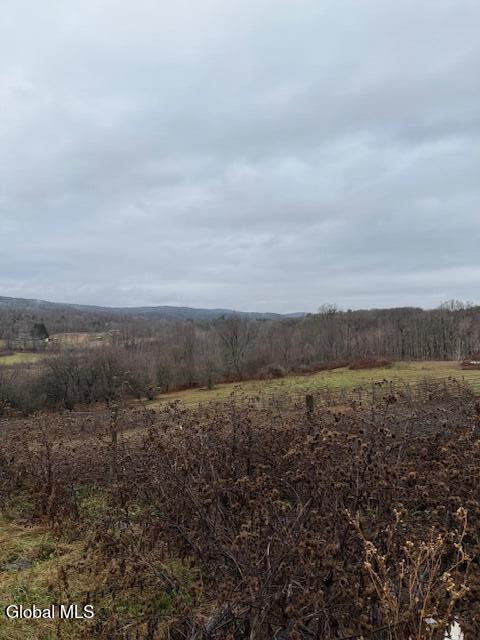 L11 Sheldon Road Granville, NY 12832 - Photo 2 of 6 IMG_1564 (1)