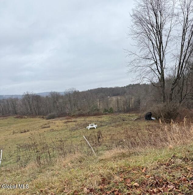 L11 Sheldon Road Granville, NY 12832 - Photo 3 of 6 IMG_1562