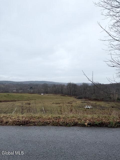 L11 Sheldon Road Granville, NY 12832 - Photo 4 of 6 IMG_1560