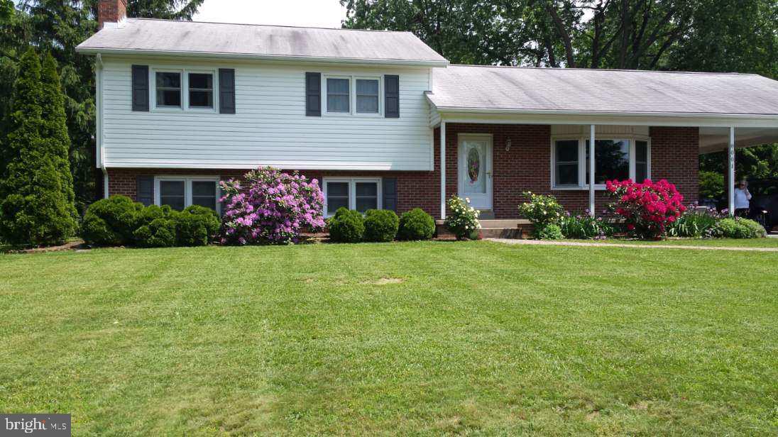 8001 Clearfield Road Frederick, MD 21702 - Photo 3 of 55 Spring bloom, view 2