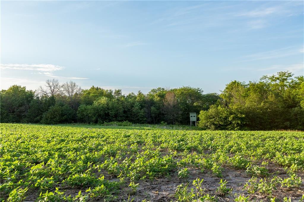12307 Crescent Road Gilman City, MO 64642 - Photo 23 of 63