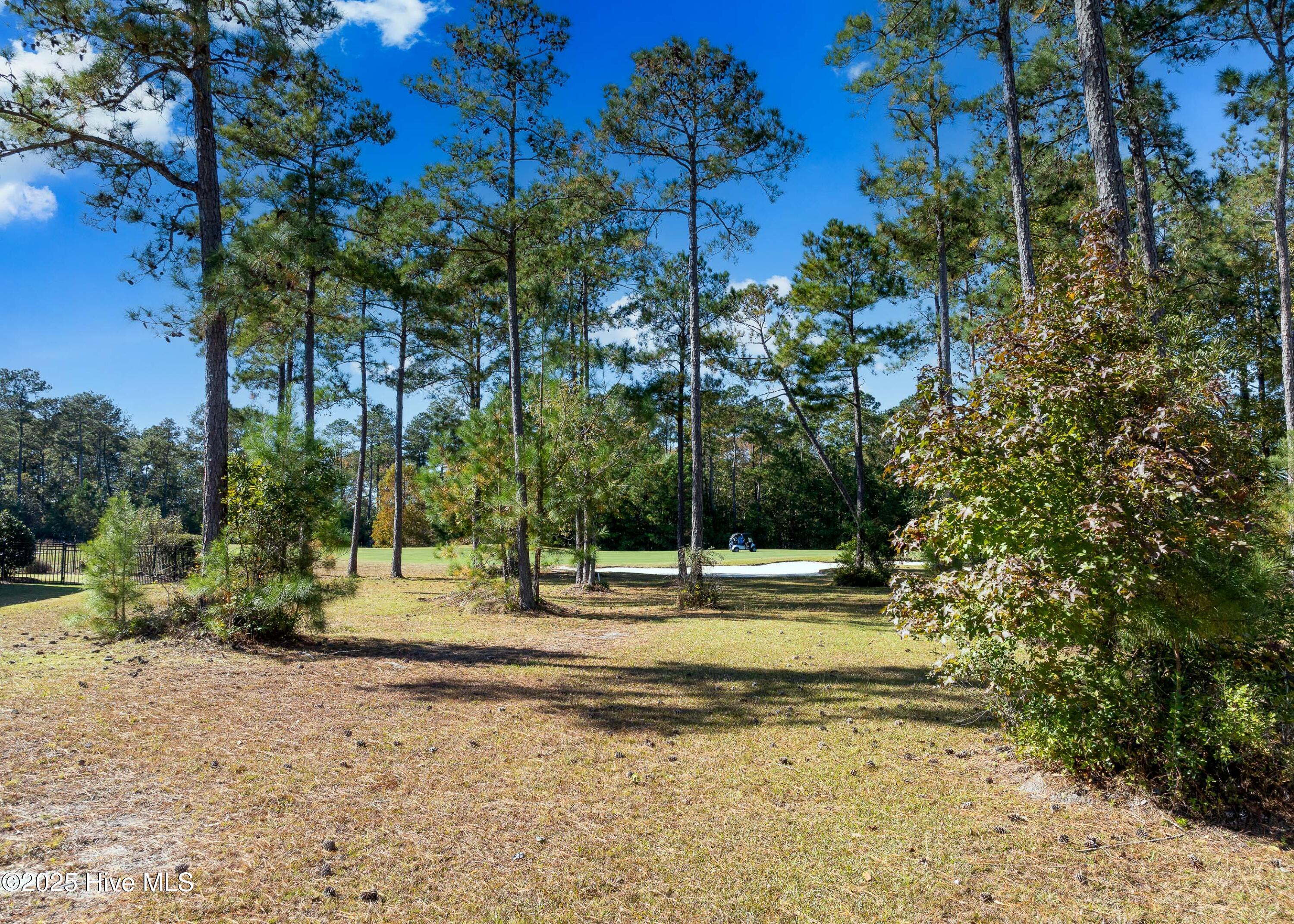 2016 Chartwell Court Leland, NC 28451 - Photo 16 of 76 1614 Chartwell Ct MLS-16