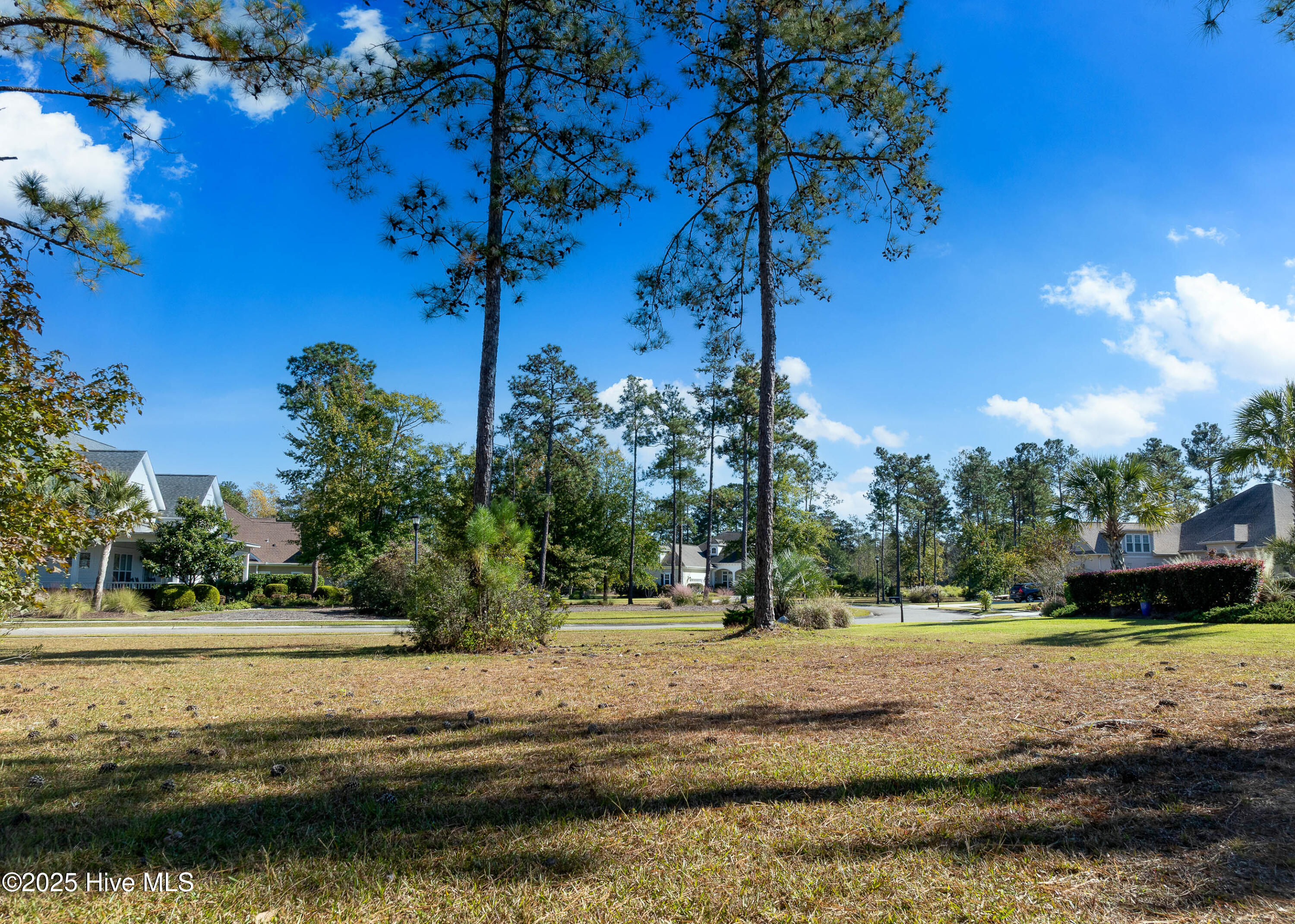 2016 Chartwell Court Leland, NC 28451 - Photo 20 of 76 1614 Chartwell Ct MLS-20