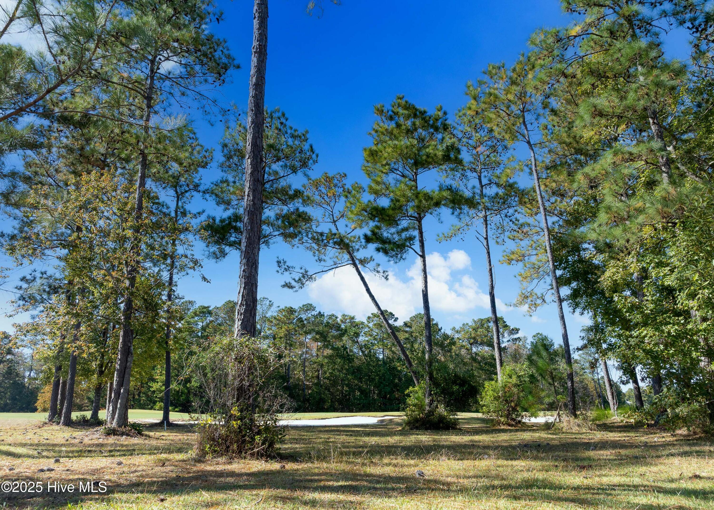 2016 Chartwell Court Leland, NC 28451 - Photo 24 of 76 1614 Chartwell Ct MLS-24