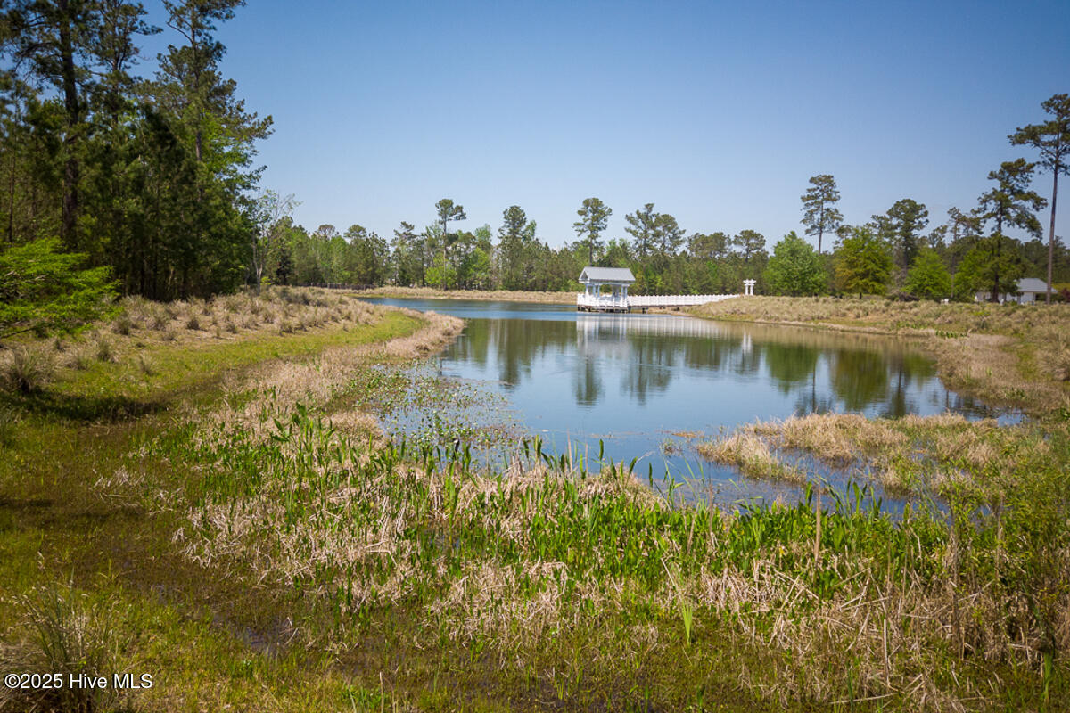 2016 Chartwell Court Leland, NC 28451 - Photo 43 of 76 Brunswick Forest Ammenities-8