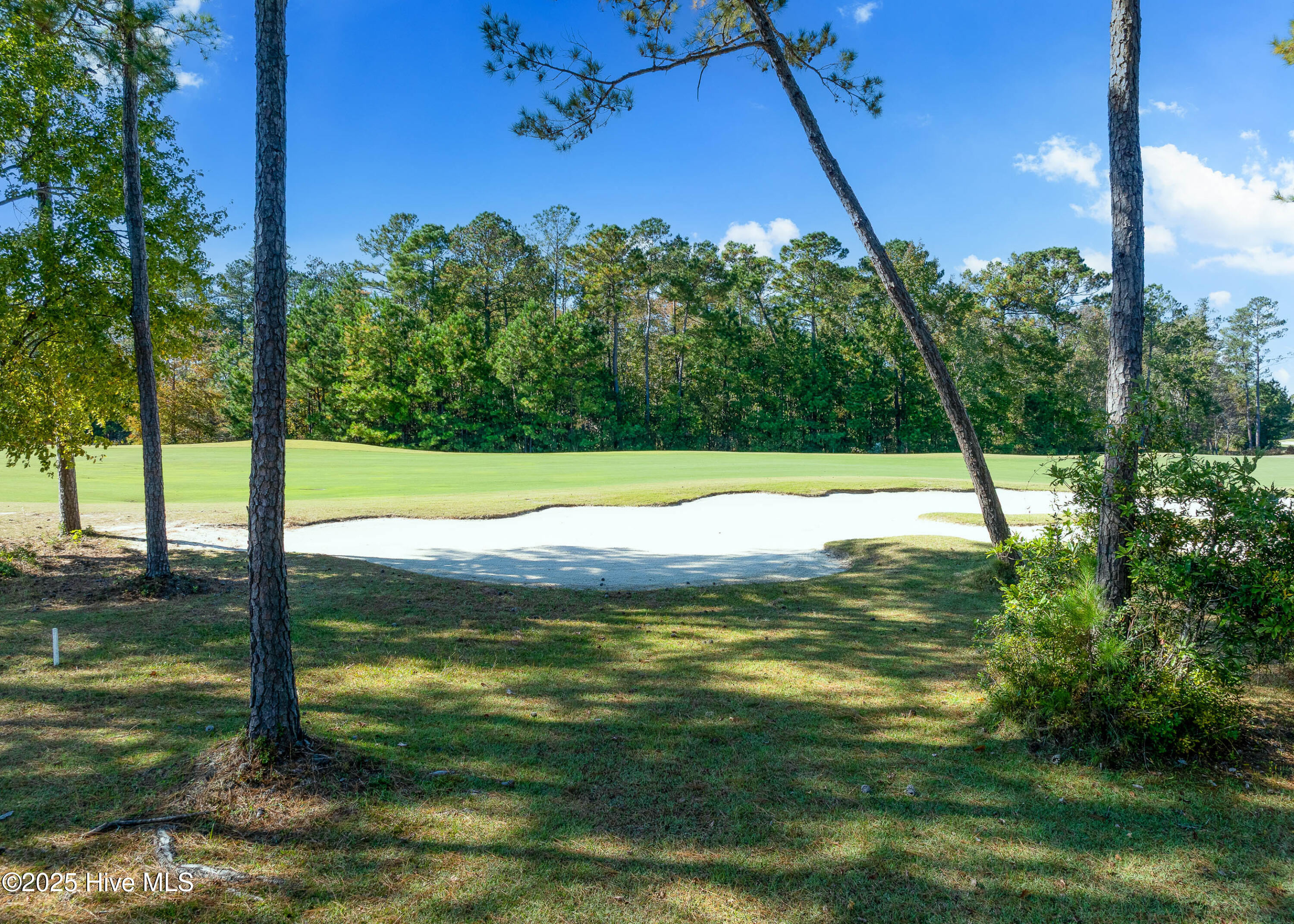 2016 Chartwell Court Leland, NC 28451 - Photo 7 of 76 1614 Chartwell Ct MLS-6