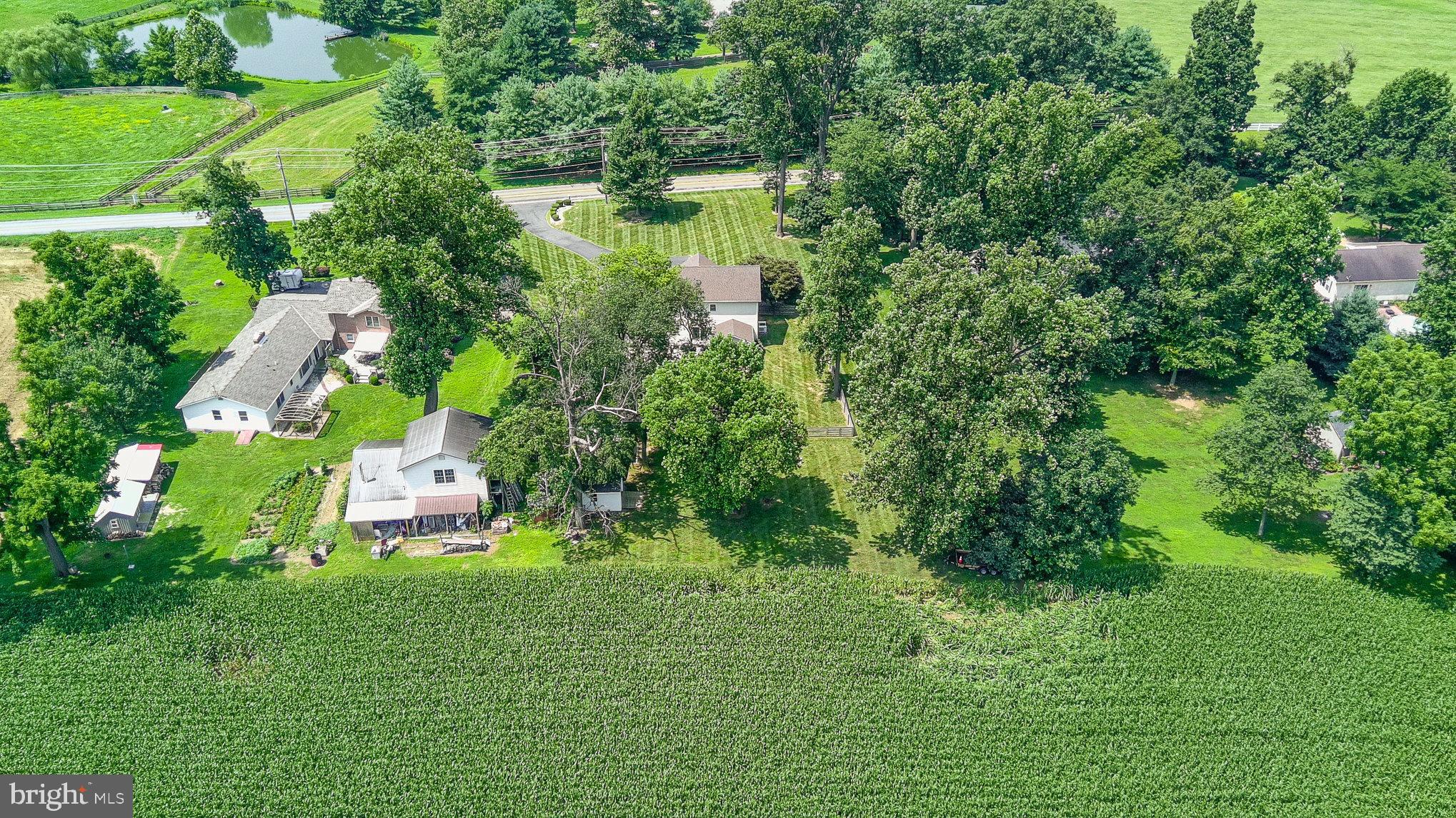 1301 Hopewell Road Port Deposit, MD 21904 - Photo 44 of 47 Surrounded by Beautiful Farmland