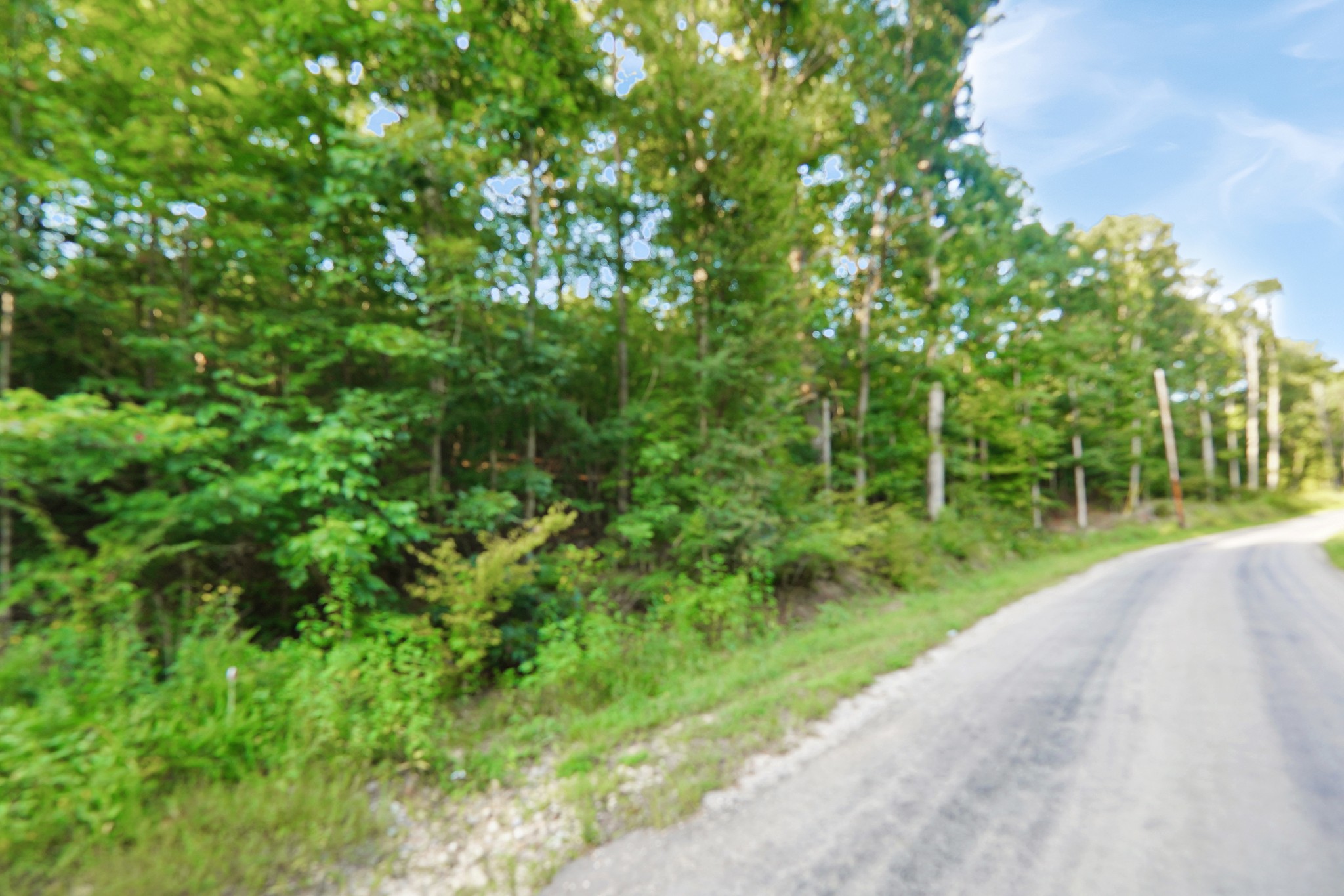 4 Cox Hollow Road Dover, TN 37058 - Photo 2 of 16 Gallery Image 2