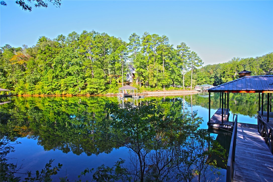 Lot 119 Harbor Point Seneca, SC 29672 - Photo 13 of 47 Gallery Image 13