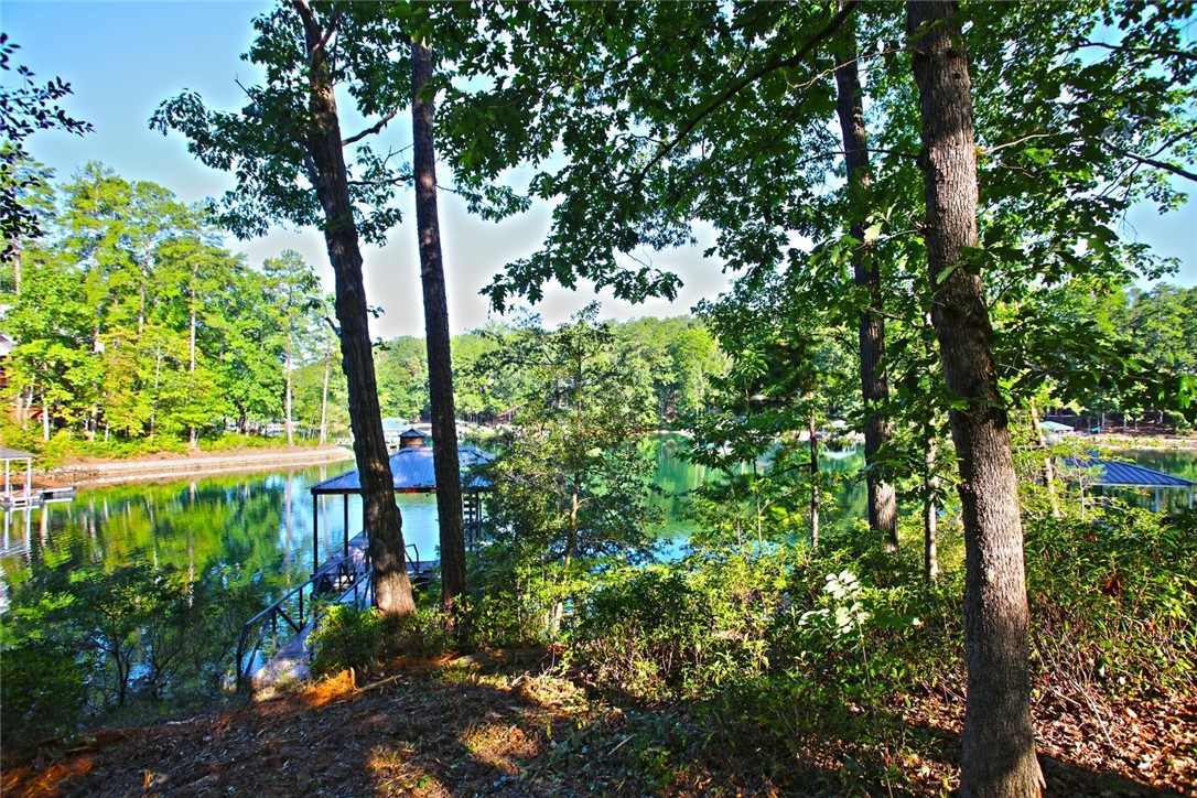 Lot 119 Harbor Point Seneca, SC 29672 - Photo 20 of 47 Gallery Image 20