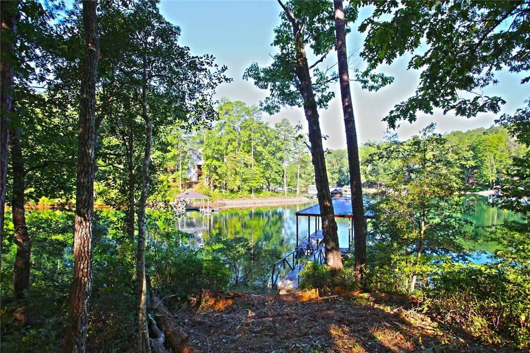 Lot 119 Harbor Point Seneca, SC 29672 - Photo 21 of 47 Gallery Image 21