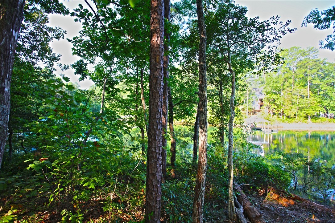 Lot 119 Harbor Point Seneca, SC 29672 - Photo 22 of 47 Gallery Image 22