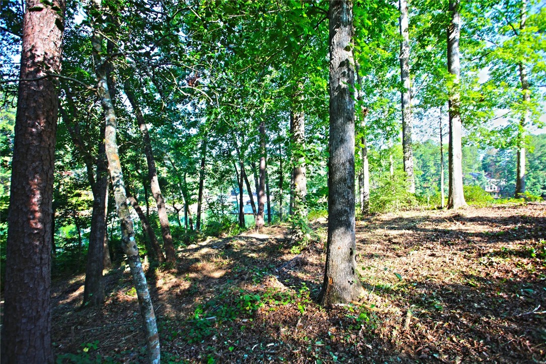 Lot 119 Harbor Point Seneca, SC 29672 - Photo 23 of 47 Gallery Image 23