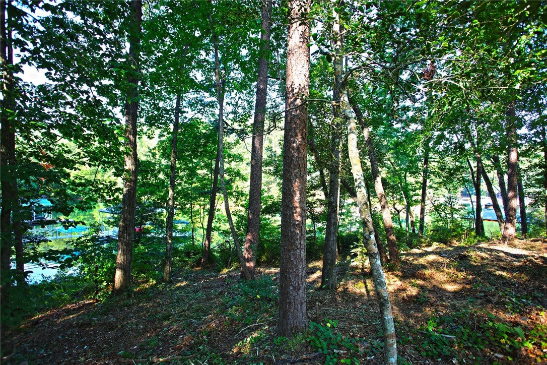 Lot 119 Harbor Point Seneca, SC 29672 - Photo 24 of 47 Gallery Image 24