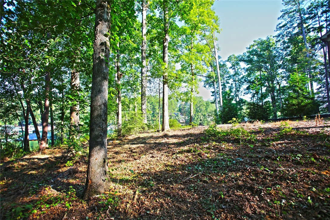 Lot 119 Harbor Point Seneca, SC 29672 - Photo 25 of 47 Gallery Image 25