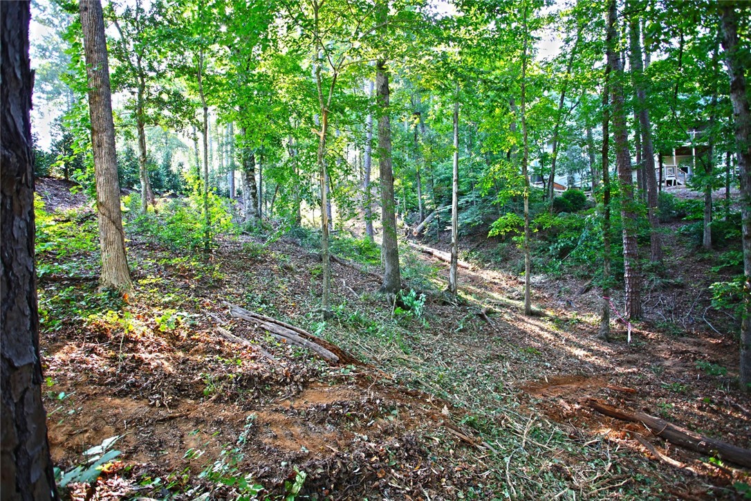 Lot 119 Harbor Point Seneca, SC 29672 - Photo 26 of 47 Gallery Image 26