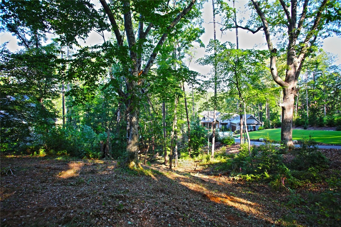 Lot 119 Harbor Point Seneca, SC 29672 - Photo 29 of 47 Gallery Image 29