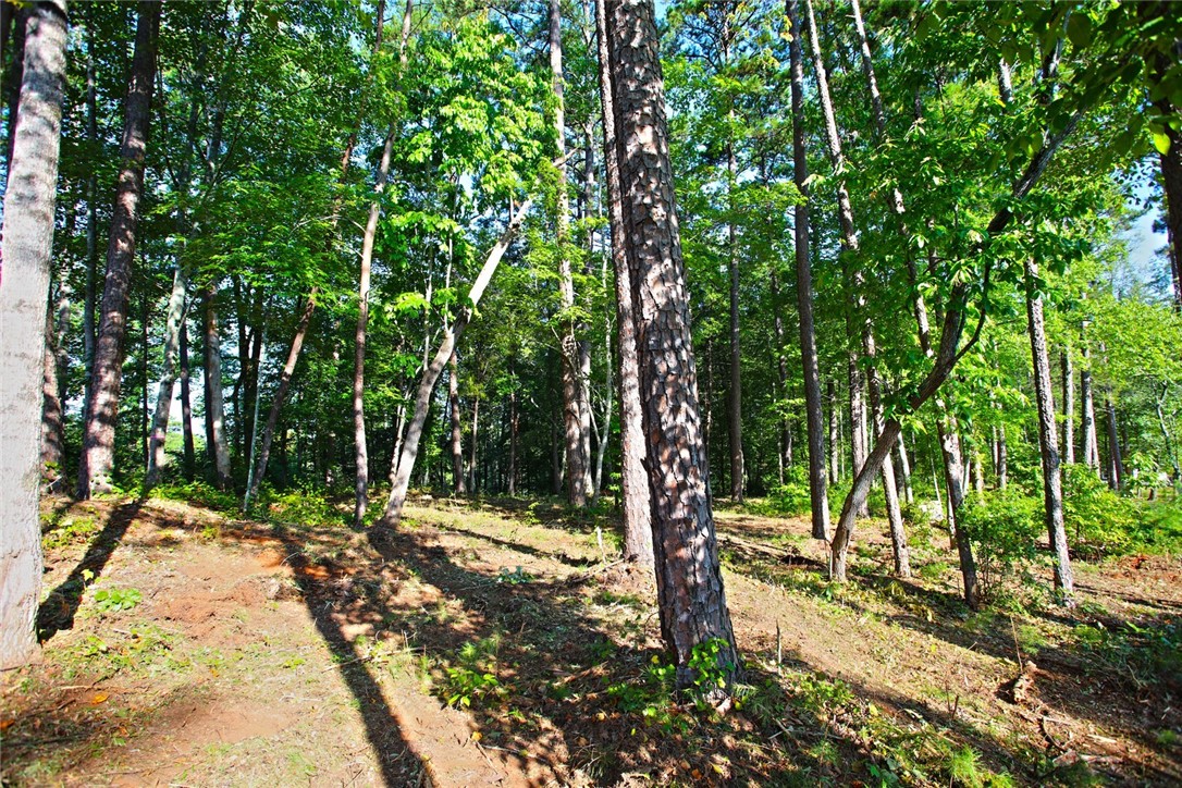 Lot 119 Harbor Point Seneca, SC 29672 - Photo 35 of 47 Gallery Image 35