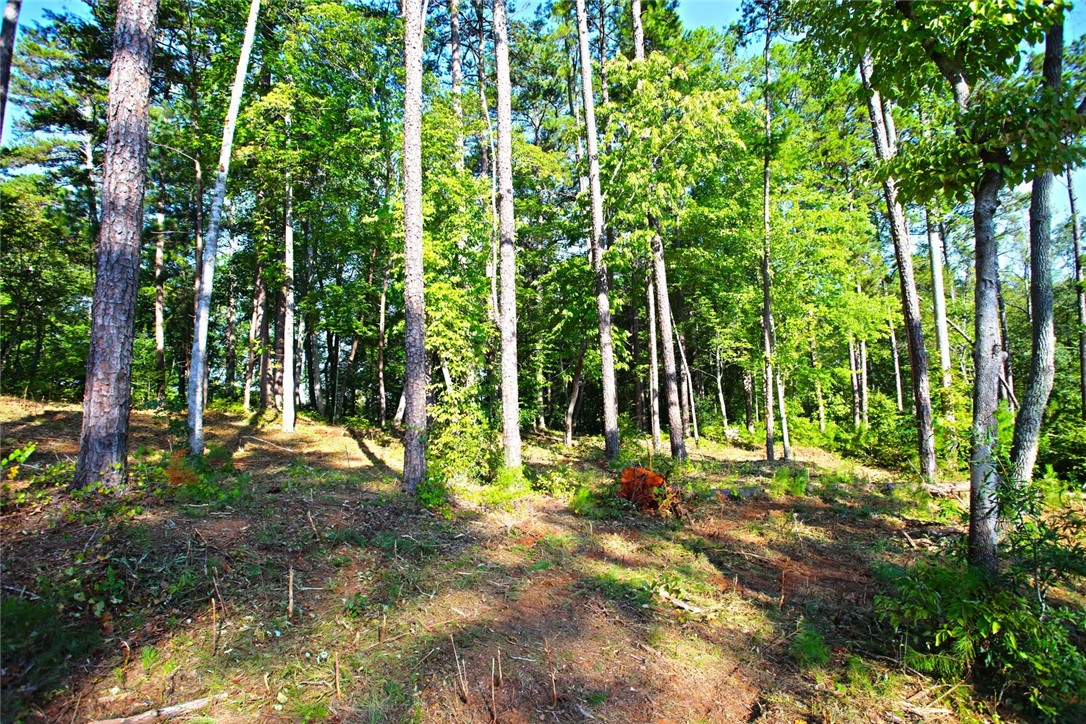 Lot 119 Harbor Point Seneca, SC 29672 - Photo 36 of 47 Gallery Image 36