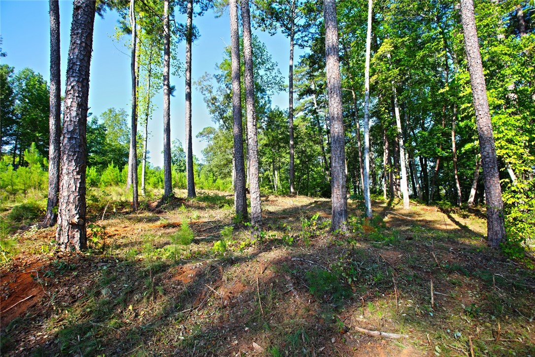 Lot 119 Harbor Point Seneca, SC 29672 - Photo 37 of 47 Gallery Image 37