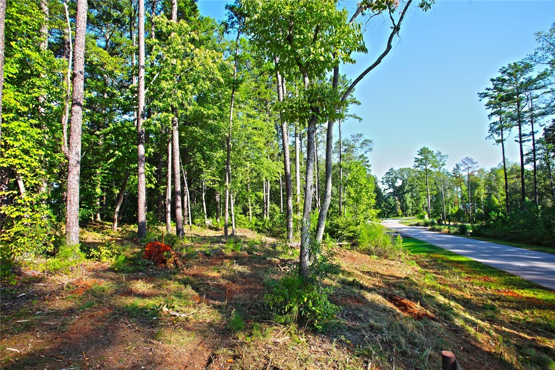 Lot 119 Harbor Point Seneca, SC 29672 - Photo 38 of 47 Gallery Image 38