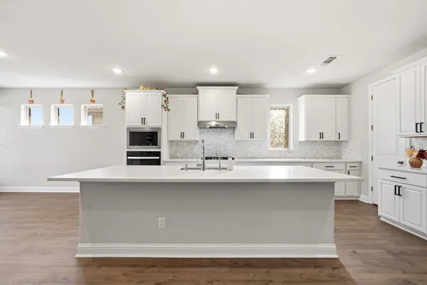 $3,200 | 1233 Texas Ash Lane, Georgetown, TX 78628