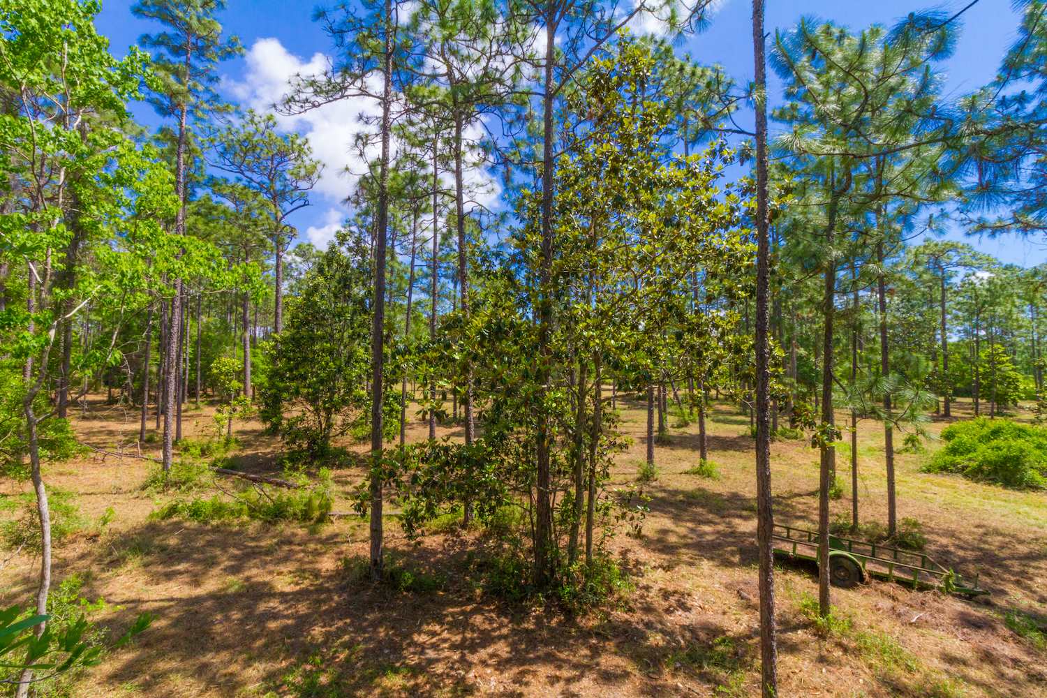 8844 Red Fish Pt Road Lillian, AL 36549 - Photo 10 of 16