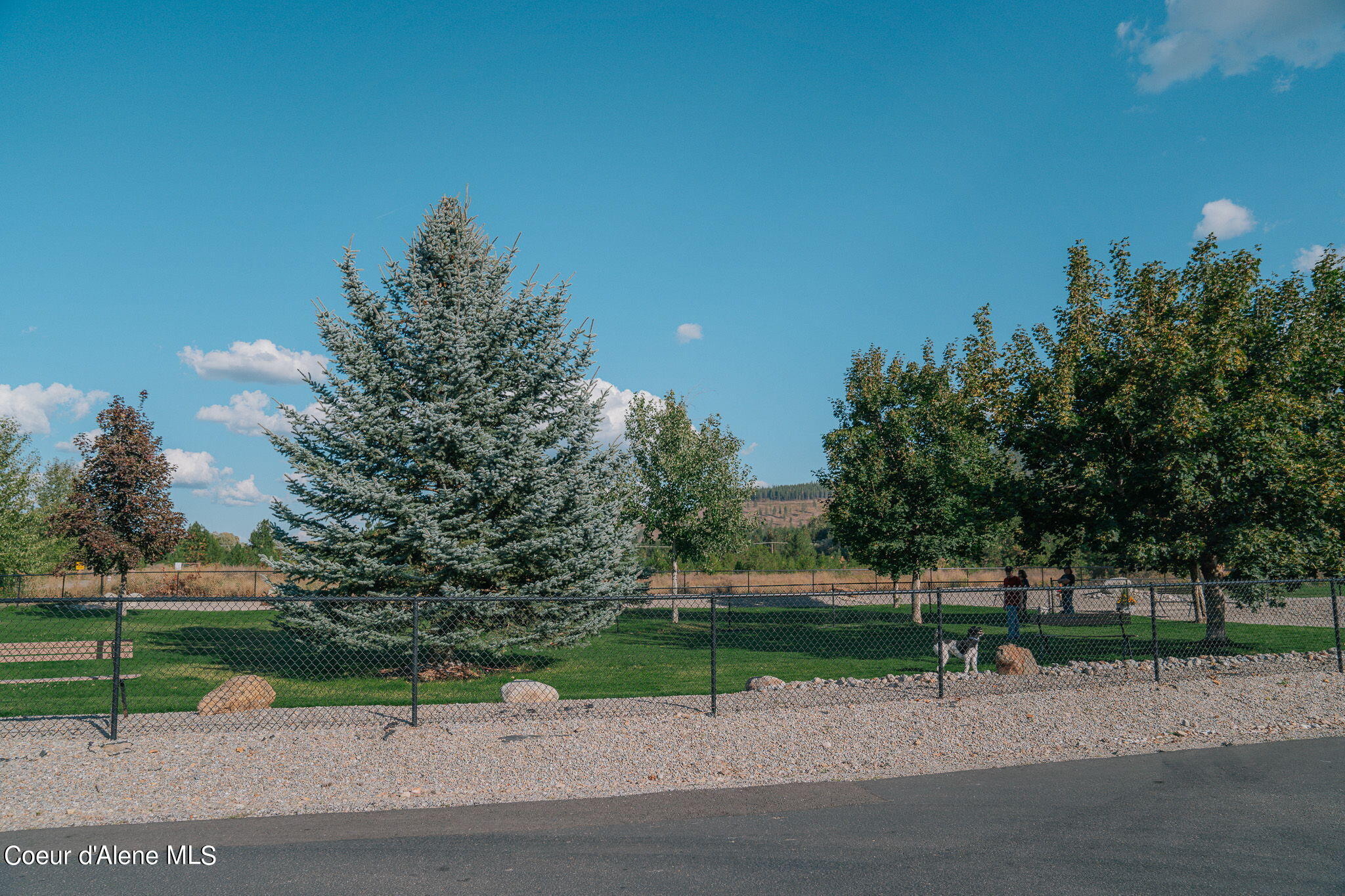 149 Par Loop Blanchard, ID 83804 - Photo 14 of 15 109-web-or-mls-_2MR4437