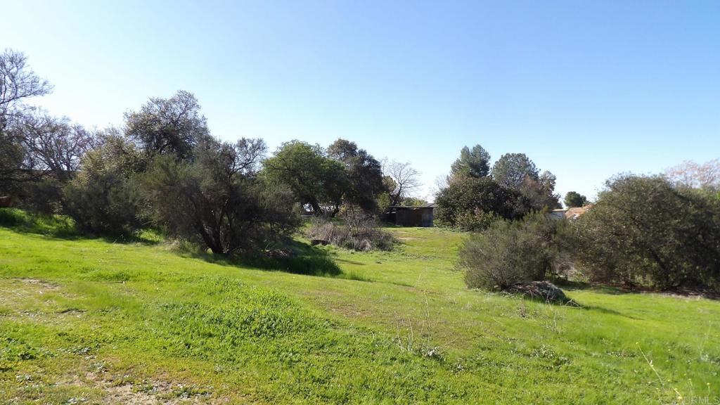 a view of a grassy field with trees in the background