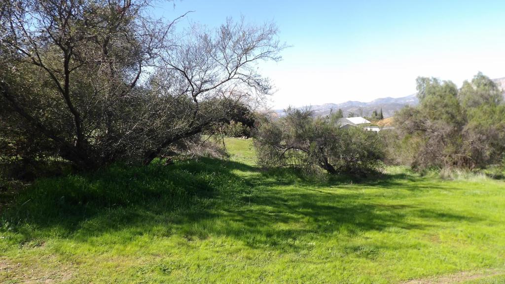 0 England Place Alpine, CA 91901 - Photo 2 of 4 a view of a garden