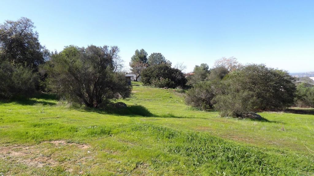 0 England Place Alpine, CA 91901 - Photo 3 of 4 a view of a grassy field with trees in the background