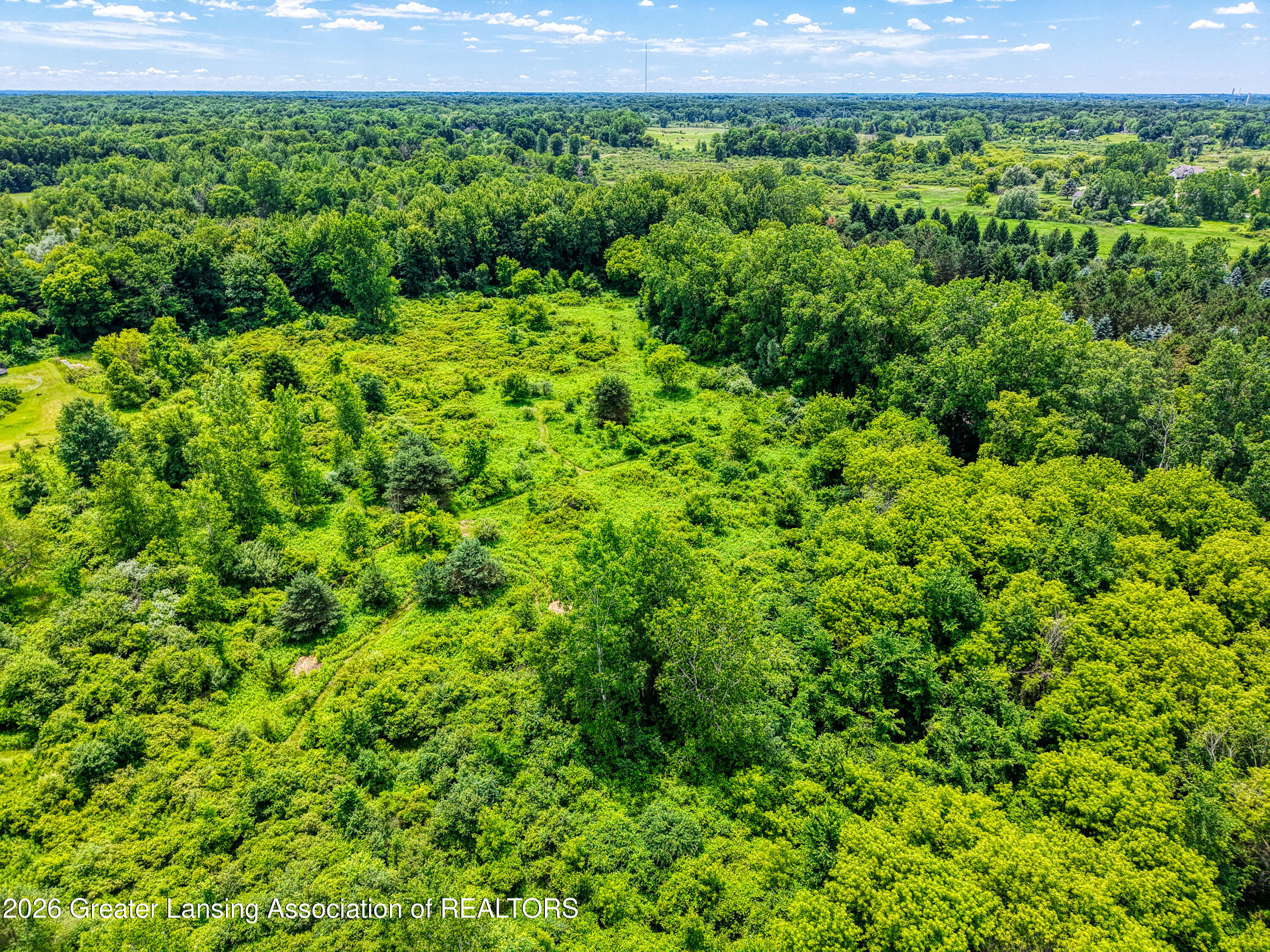 V/l V/l Meridian Road Williamston, MI 48895 - Photo 8 of 17 DJI_20260623135309_0496_D_11